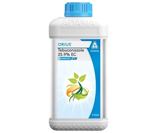Adama Product 1