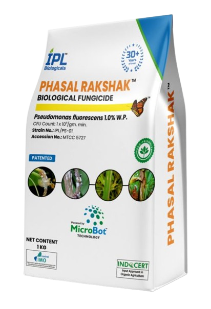 IPL Product 2